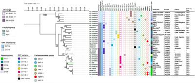 Emergence of a High-Risk Klebsiella michiganensis Clone Disseminating Carbapenemase Genes